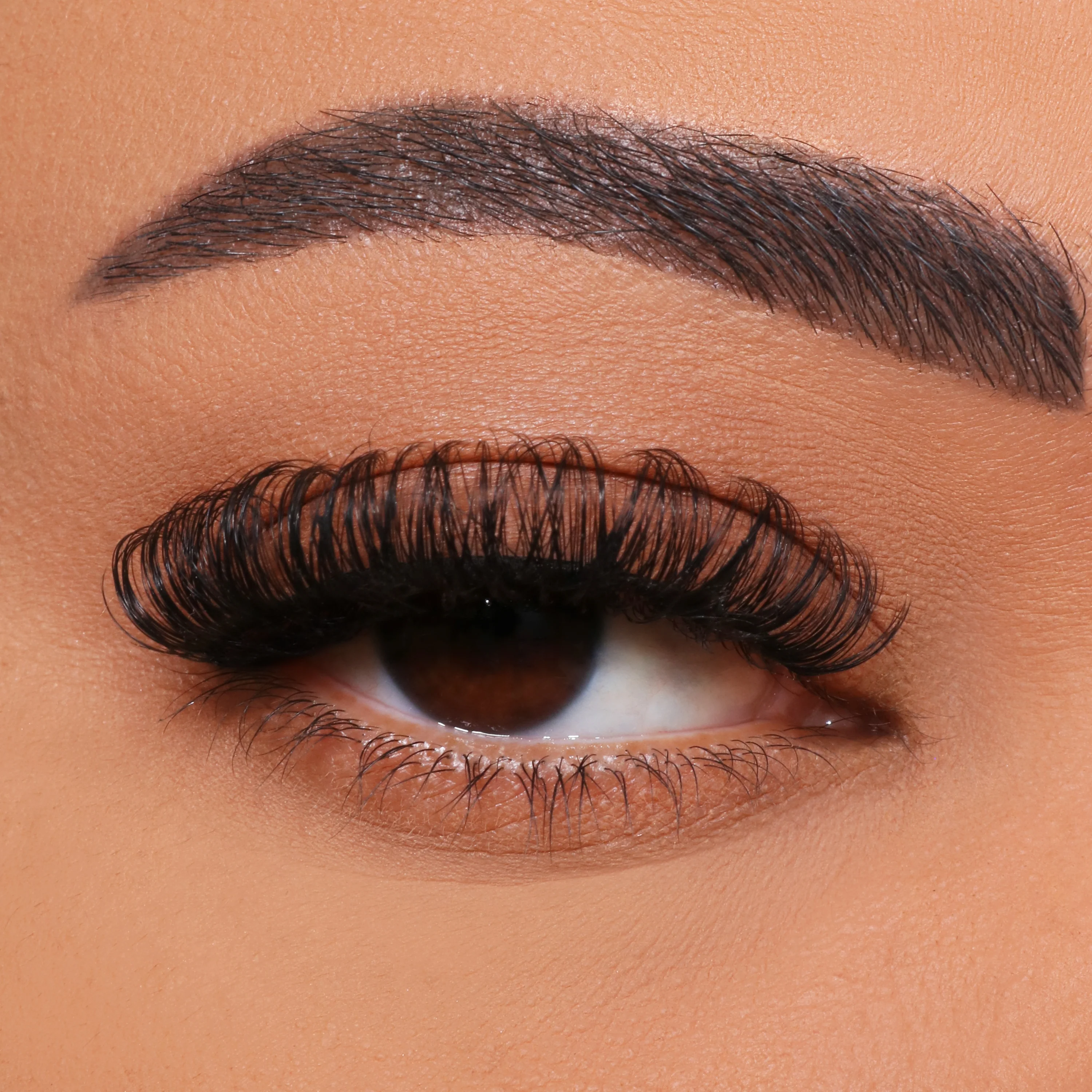 Kepiye DIY DIY Grafting Wulu MULTI-Kembang?